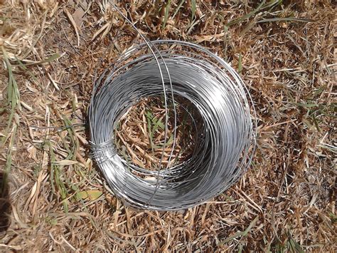 Robotic Bird Build 的图像结果