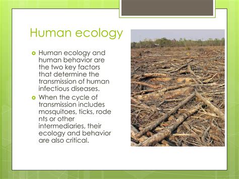 Ecology and human ecology | PPTX