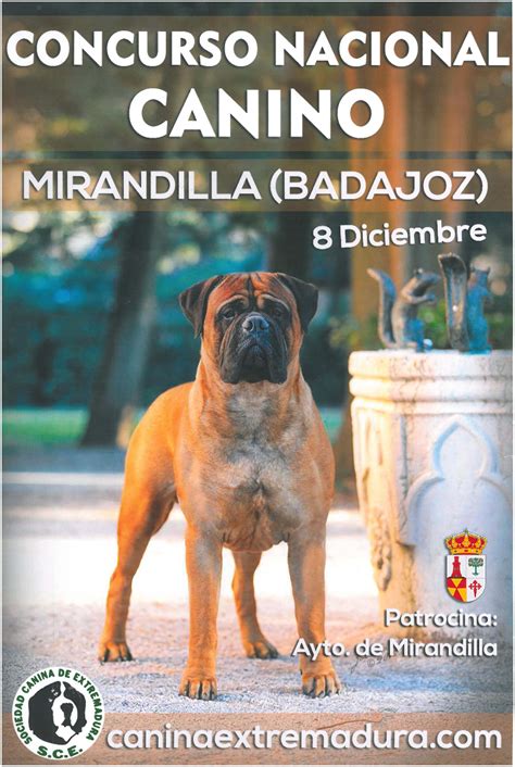 CONCURSO NACIONAL CANINO