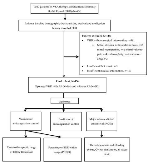 JCM | Free Full-Text | Anticoagulation Control and Major Adverse ...