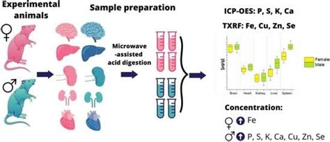 Sex-Dependent Differences in the Elemental Composition of Internal ...