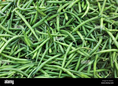 Image result for Green String Beans