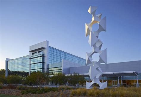 SAS Academy for Clinical Programming | Official Course | SAS India