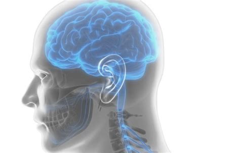 Gene therapy shows promise in treating neuropathy from spinal cord injuries