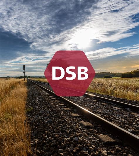 Image result for dsb