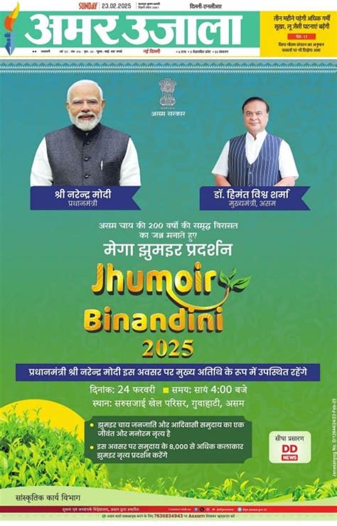 Den publishing: Online Publication