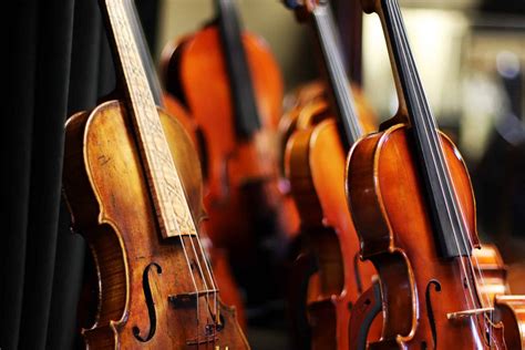 Image result for Best String Instruments