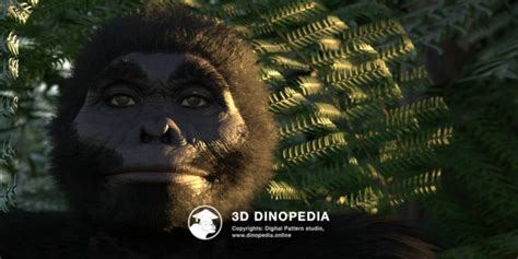 Image result for Australopithecus Simulation