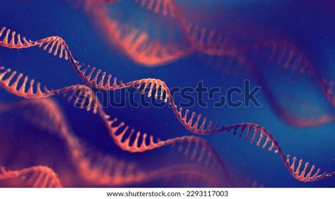 RNA Chain 的图像结果