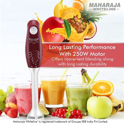 Buy Maharaja Whiteline Plastic Speedmix Super Plus Hand Blender, 250W ...