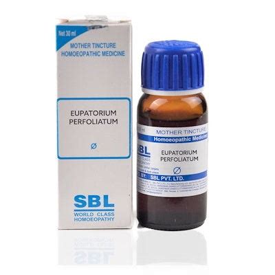 Eupatorium Perfoliatum Homeopathy Tincture for Bone Pain & Fever ...