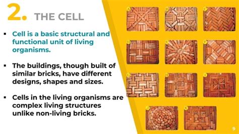 Cell Structure Class 8 的图像结果