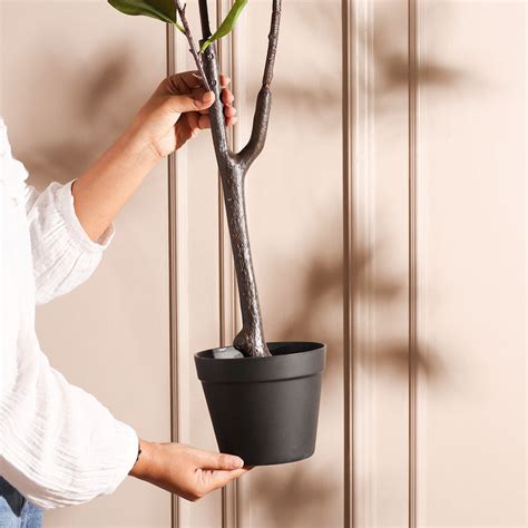 Modern Quests - Shop For Premium Homeware & Lifestyle Accessories