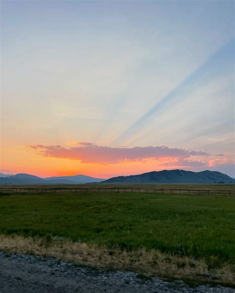 lydia feiler (@lydiaafeiler) • Instagram photos and videos