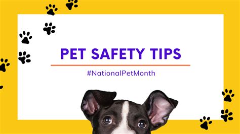 National Pet Month
