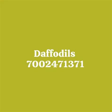 Daffodils florist , Bangalore - Order Online
