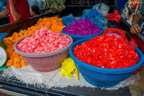 Bali Flower Market 的图像结果