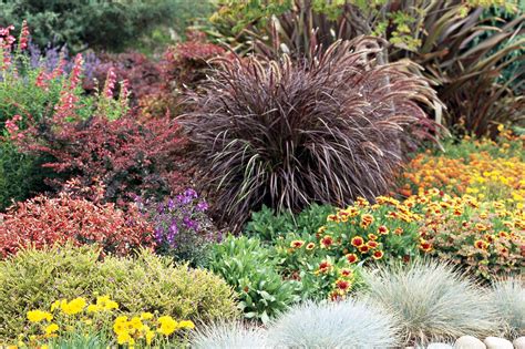 25 of the Prettiest Ornamental Grasses for Your Garden | Grasses garden ...