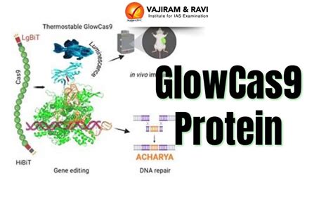 GlowCas9 Protein, Properties, Working, Benefits, Latest News