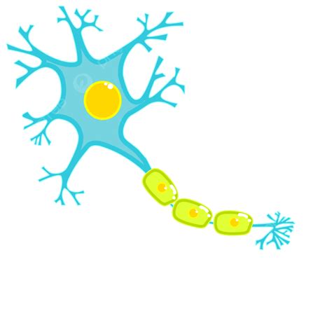 Brain Neuron 的图像结果