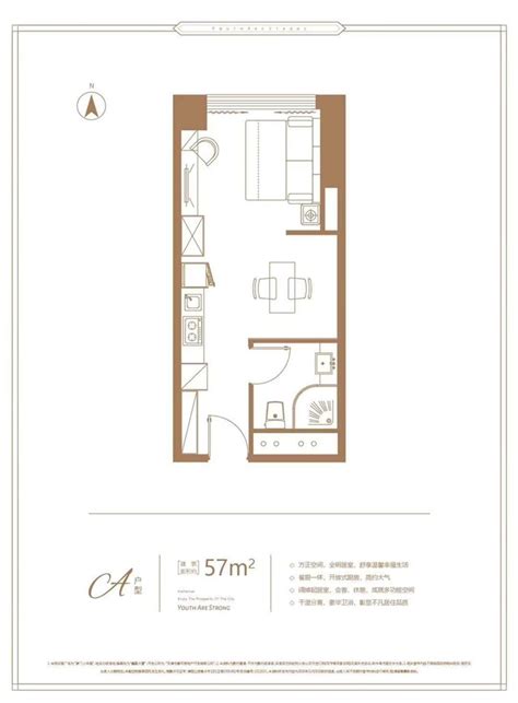 57平米单身公寓 细节装修让设计很完美（图） - 家居装修知识网