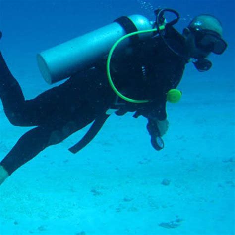 Orca Diving School | LBB