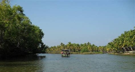 AV BACKWATER (2026) All You SHOULD Know Before Going (with Photos)