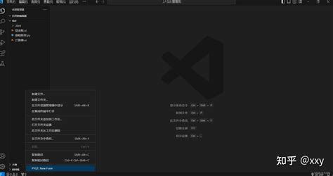 Advanced PySide 的图像结果