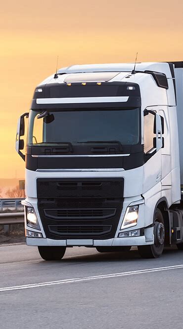 Best Logistics Company in India | Professional Impex Pvt. Ltd