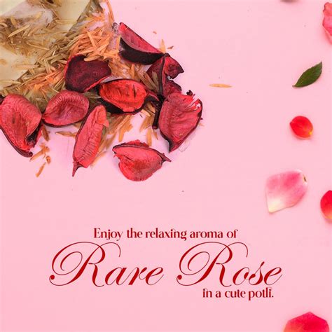 Allextreme Hanging Husk Bag Car Perfume Scent - Rare Rose Fragrance for ...