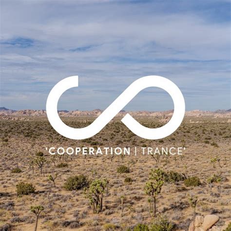 Cooperation Groups 的图像结果