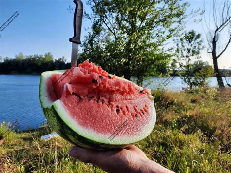 NOS Izlet: Povratak prirodi :: Naturistička organizacija Srbije (NOS ...