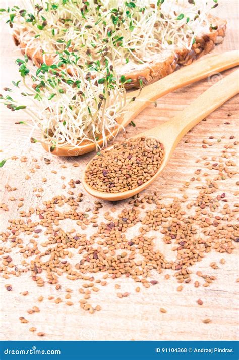 Fresh Alfalfa Sprouts and Seeds - Closeup. Stock Photo - Image of ...