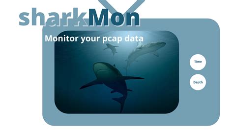 Image result for Network Packet Monitoring