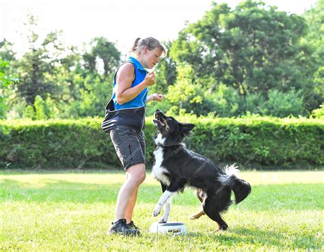 Border Collie Trick Training 的图像结果