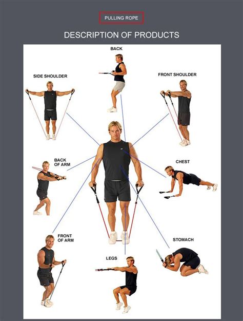 Chest Expander Exercise Guide 的图像结果