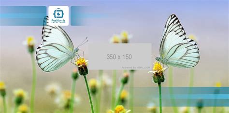 Clickable HTML Map Code 的图像结果