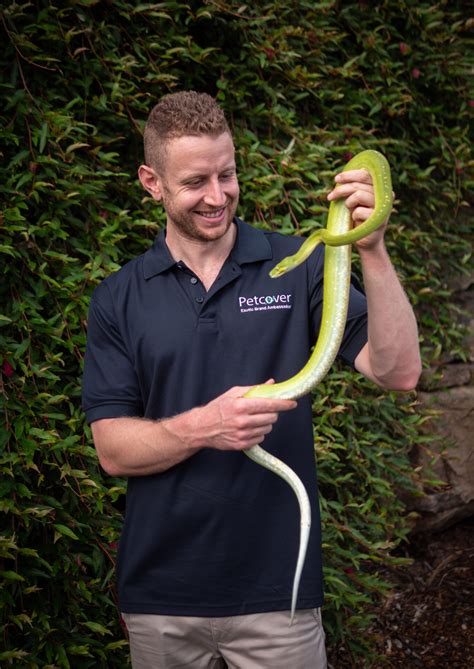 Protecting Your Unique Companion: The Importance of Exotic Pet ...