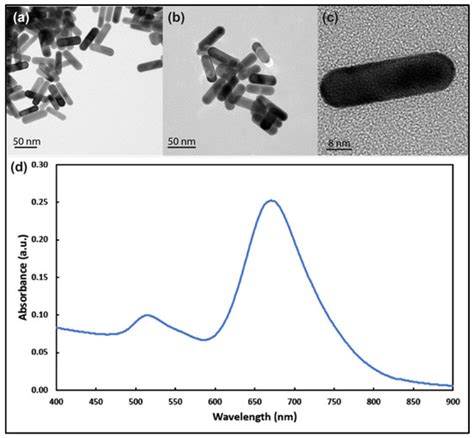 Cellular Uptake of Gold Nanorods in Breast Cancer Cell Lines