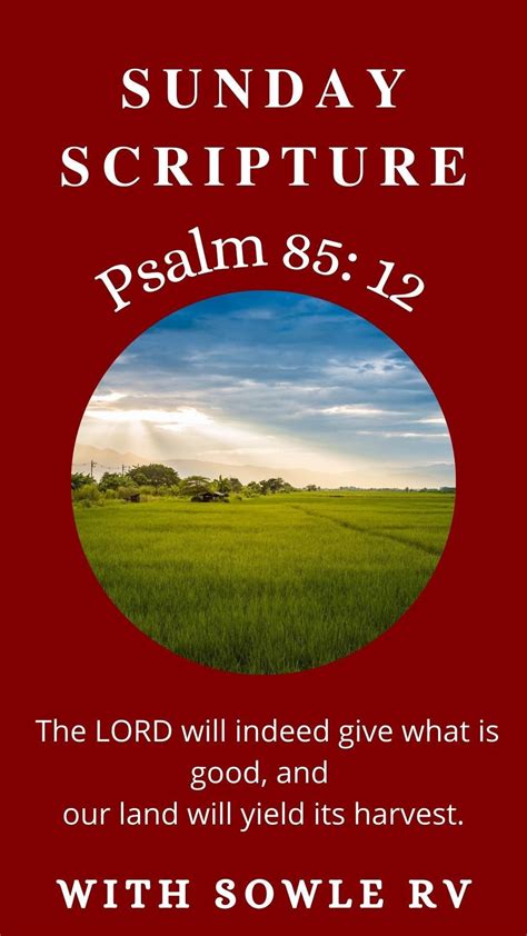 Sunday Scripture 的图像结果