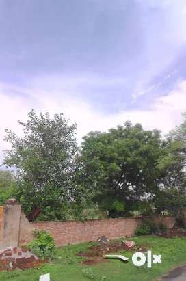 1 Bigha - Lands & Plots For Sale in Uttar Pradesh | OLX