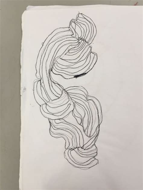 Image result for Fungi Drawing Pathogen