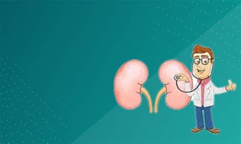 5 Signs that Assures You Have Kidney Disorder