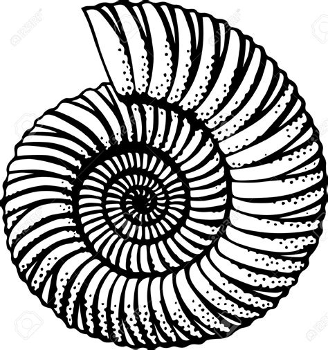 Image result for Shell Drawing Sheet
