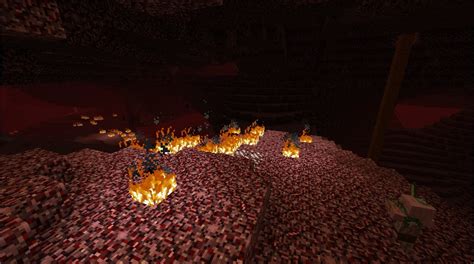 Image result for Nether Grounds