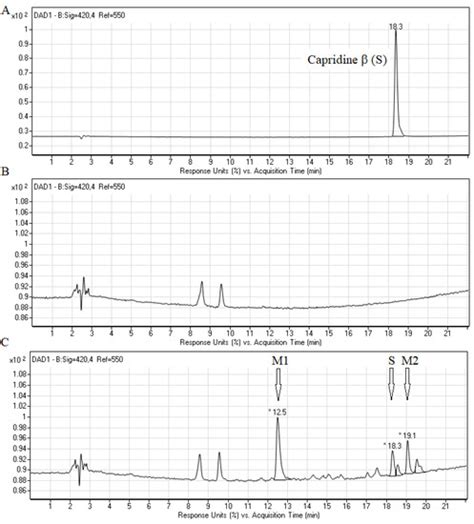 Pathogens | Special Issue : Candida albicans: A Major Fungal Pathogen ...
