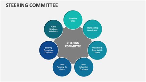 Steering Committee 的图像结果