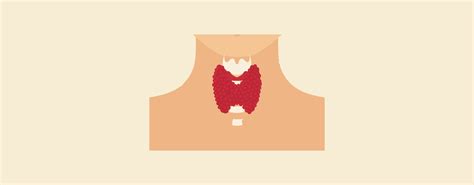 Acquired Hypothyroidism Vs Hypothyroidism, Thyroid, Hypothyroidism – Knya