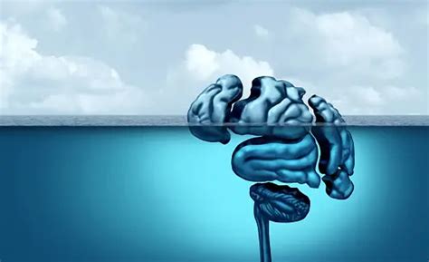 Image result for Fragmentation Shell