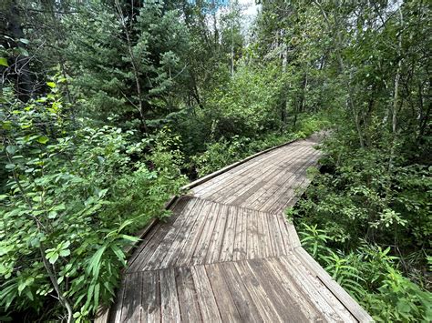 Hiking to the Phelps Lake Jumping Rock in Grand Teton National Park ...